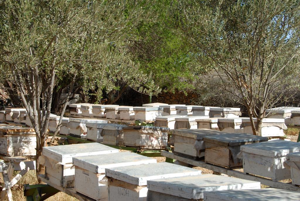 Hotel Aladarissa Ait Baha Ait Taksimt المظهر الخارجي الصورة